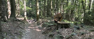 Droga Królewska, kasa ↔ Święty Krzyż, pogański wał kulturowy