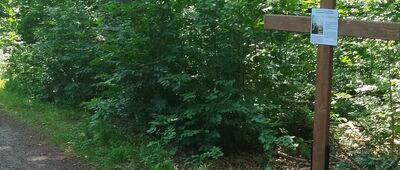 Skrzyżowanie szlaków niebieski / czarny