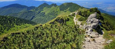 Sedlo Priehyb ↔ Malý Kriváň