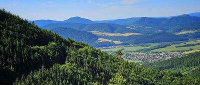 Pod Jedľovinou ↔ Sedlo Brestov