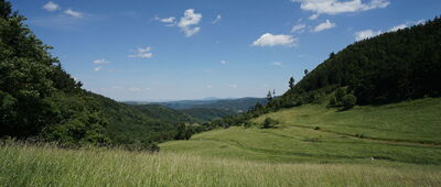 Przełęcz pod Gromólnikiem