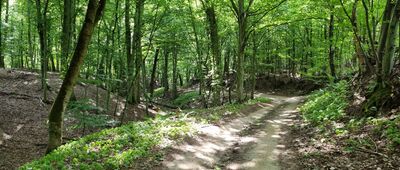 Łopuchowo ↔ Głęboczek, cmentarz