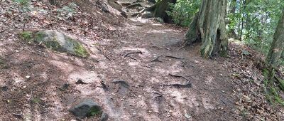 Vyhlídková bašta, odb.