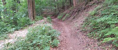 Nad Kamencem ↔ Teplice nad Metují, Nerudova