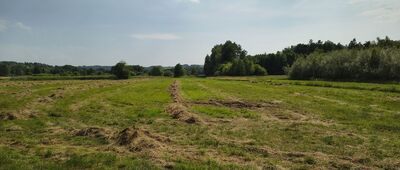 Nowa Wieś ↔ Krasnobród, Zachoiny