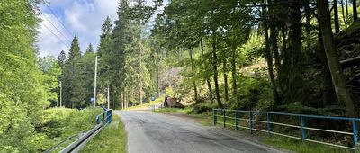 Torfowisko pod Zieleńcem, parking ↔ Zieleniec, odejście szlaku zielonego
