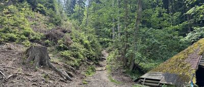 Torfowisko pod Zieleńcem, parking