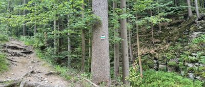 Torfowisko pod Zieleńcem, parking