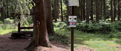 Widlasta Droga ↔ Rozdroże pod Bieścem