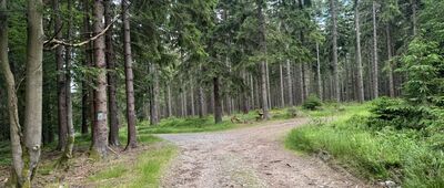 Rozdroże pod Bieścem