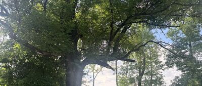 Polanica-Zdrój, stacja kolejowa