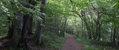 Schronisko Hajstra ↔ Huta Polańska, granica parku narodowego