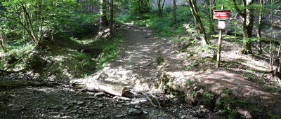 Huta Polańska, granica parku narodowego