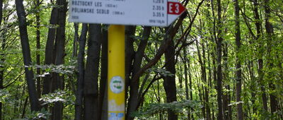 Przełęcz Mazgalica