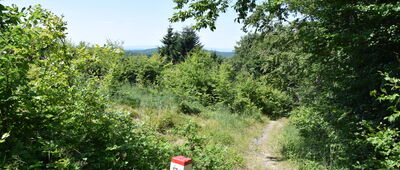 Przełęcz Mazgalica ↔ Baranie