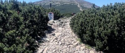 Droga Jubileuszowa ↔ Jelenka