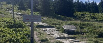 Schronisko PTTK Odrodzenie, skrzyżowanie