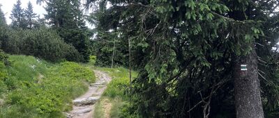 Vosecká bouda ↔ Labska louka