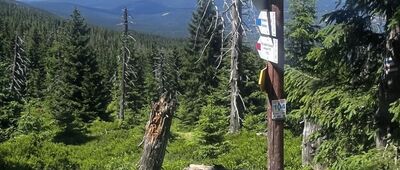 Rozdroże pod Wielkim Szyszakiem