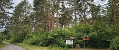 Hamernia ↔ Rezerwat Czartowe Pole, miejsce pamięci