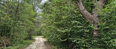 Rozejście szlaków ↔ Oseredek