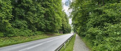 Krasnobród, ul. Wiśniowa ↔ Krasnobród [Krasnobród. Ul. Sanatoryjna]