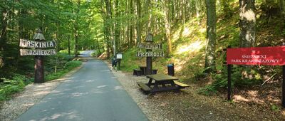 Jaskinia Niedźwiedzia ↔ Źródło Marianna