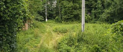 Krasnobród, Zalew ↔ Krasnobród, ul. Wiśniowa [Ścieżka wzdłuż Wieprza]