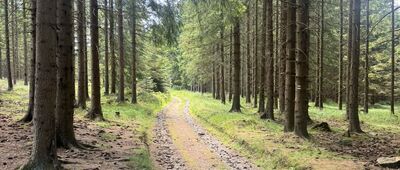 Lurdská jeskyně, rozc.