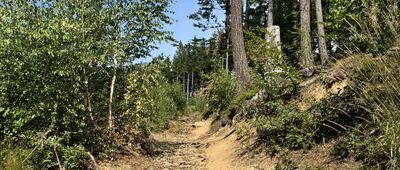 Křížový Vrch, rozc. ↔ Pod Antonínovým pramenem