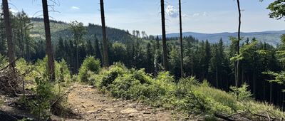 Pod Antonínovým pramenem