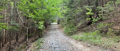 Pod Antonínovým pramenem ↔ Zlatý Chlum, rozhledna