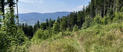 Pod Antonínovým pramenem ↔ Zlatý Chlum