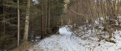 Targoszów, Wieczorki ↔ Gronik