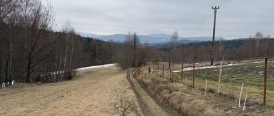 Targoszów, Płonkówka ↔ Targoszów, Wieczorki