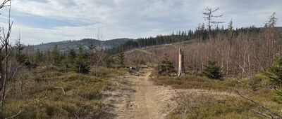 Przełęcz Łączecko ↔ Wisła, Mrozków