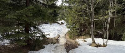 Kiczory ↔ Przełęcz Łączecko