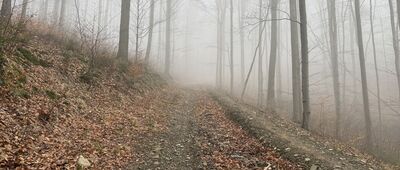 Nýdek, Hluchová, Setinka ↔ Soszów Wielki