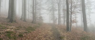 Nýdek, Hluchová, Setinka ↔ Soszów Wielki