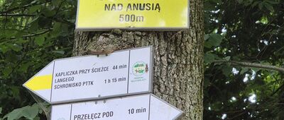 Droga Amalii nad Anusią