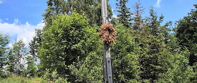 Granica Biskupská kupa / Jarnołtówek