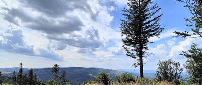 Granica Biskupská kupa / Jarnołtówek