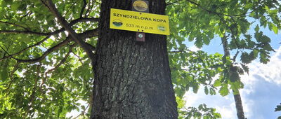 Pod Gołębim Wzgórzem ↔ Przełęcz pod Zamkową Górą