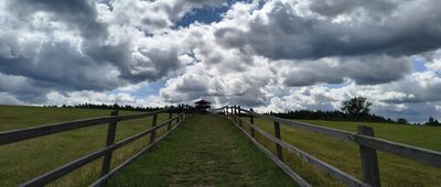 Droga na Białą Górę ↔ Biała Góra, wieża widokowa