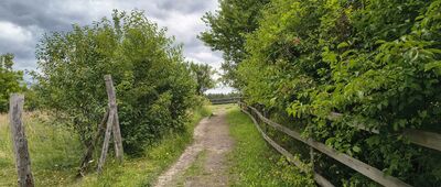 Droga na Białą Górę [Ścieżka z parkingu]
