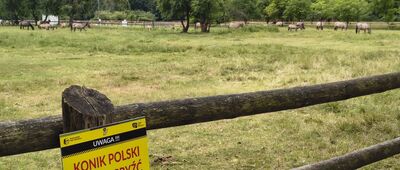 Granica parku narodowego ↔ Florianka, muzeum