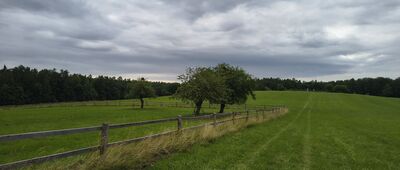 Florianka, muzeum ↔ Florianka, ostoja konika polskiego