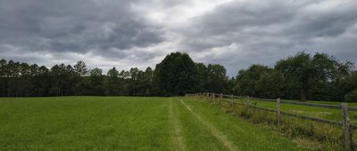 Florianka, muzeum ↔ Florianka, ostoja konika polskiego