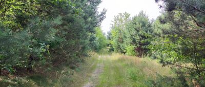 Wólka Poznańska ↔ Stoczek Łukowski, ul. Kolejowa