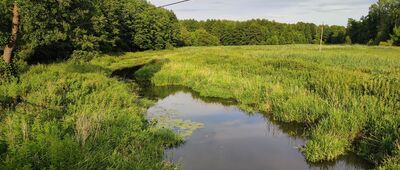 Stoczek Łukowski, ul. Ostoi ↔ Stoczek Łukowski, Zaskwiera [rzeka Świder pod Stoczkiem]
